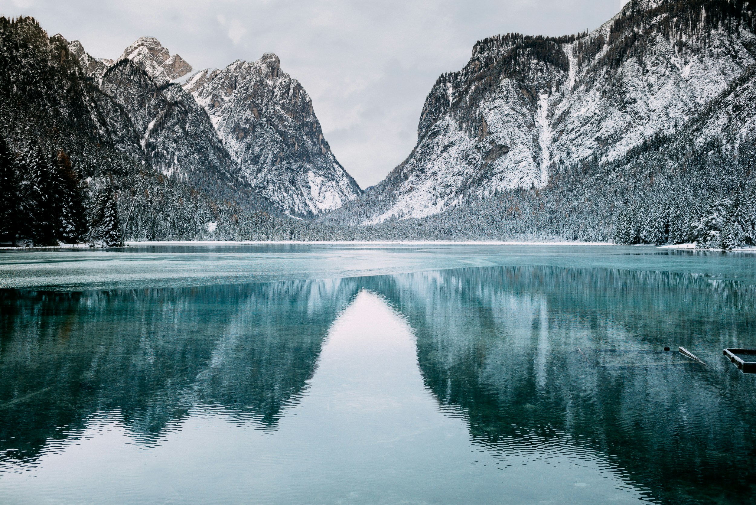 tim-stief-YFFGkE3y4F8-unsplash